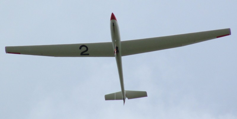 Grob climbing up wire - June 2015